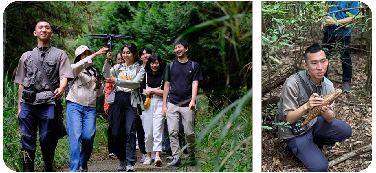 Research Scope: 14K–16K Section of the Daxueshan Forest Road