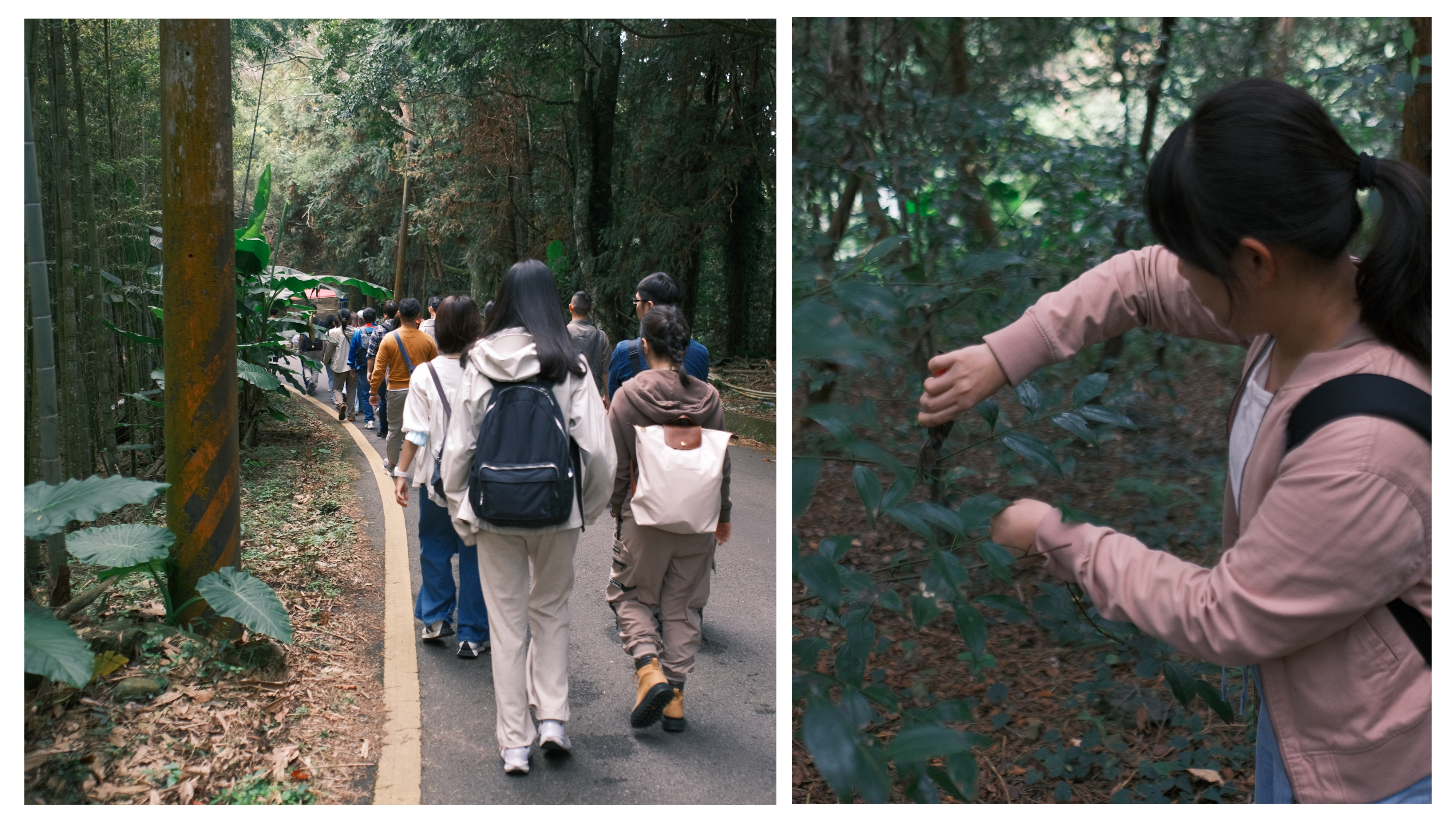 林間散策