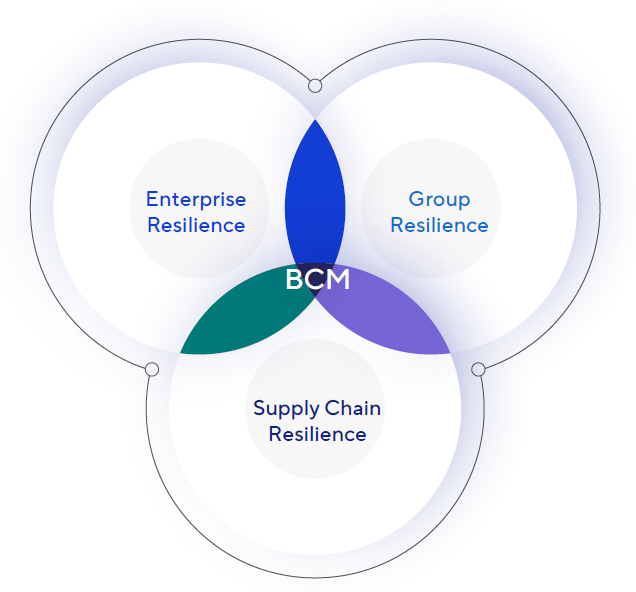 Three Pillars of Risk Management: Enterprise Resilience, Group Resilience, and Supply Chain Resilience